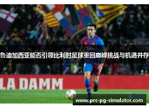 鲁迪加西亚能否引领比利时足球重回巅峰挑战与机遇并存 鲁迪加西亚能否引领比利时足球重回巅峰挑战与机遇并存