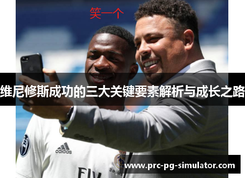 维尼修斯成功的三大关键要素解析与成长之路 维尼修斯成功的三大关键要素解析与成长之路