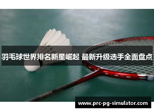 羽毛球世界排名新星崛起 最新升级选手全面盘点