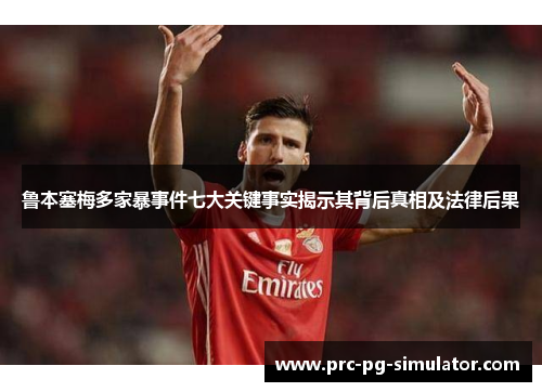 鲁本塞梅多家暴事件七大关键事实揭示其背后真相及法律后果