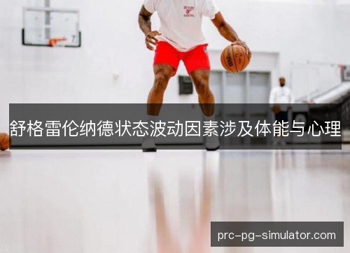 舒格雷伦纳德状态波动因素涉及体能与心理